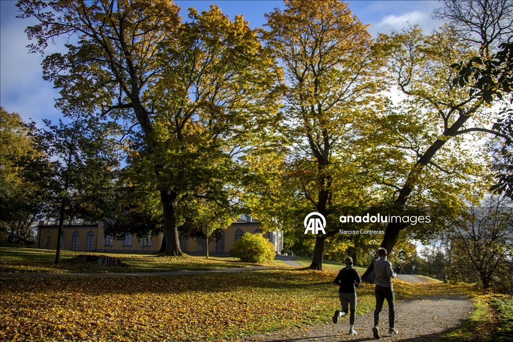 Stockholm draped in vibrant fall colors across parks and lakes