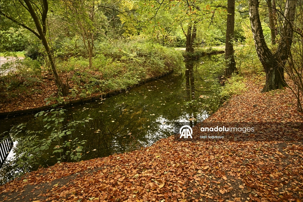Autumn Colors in Berlin