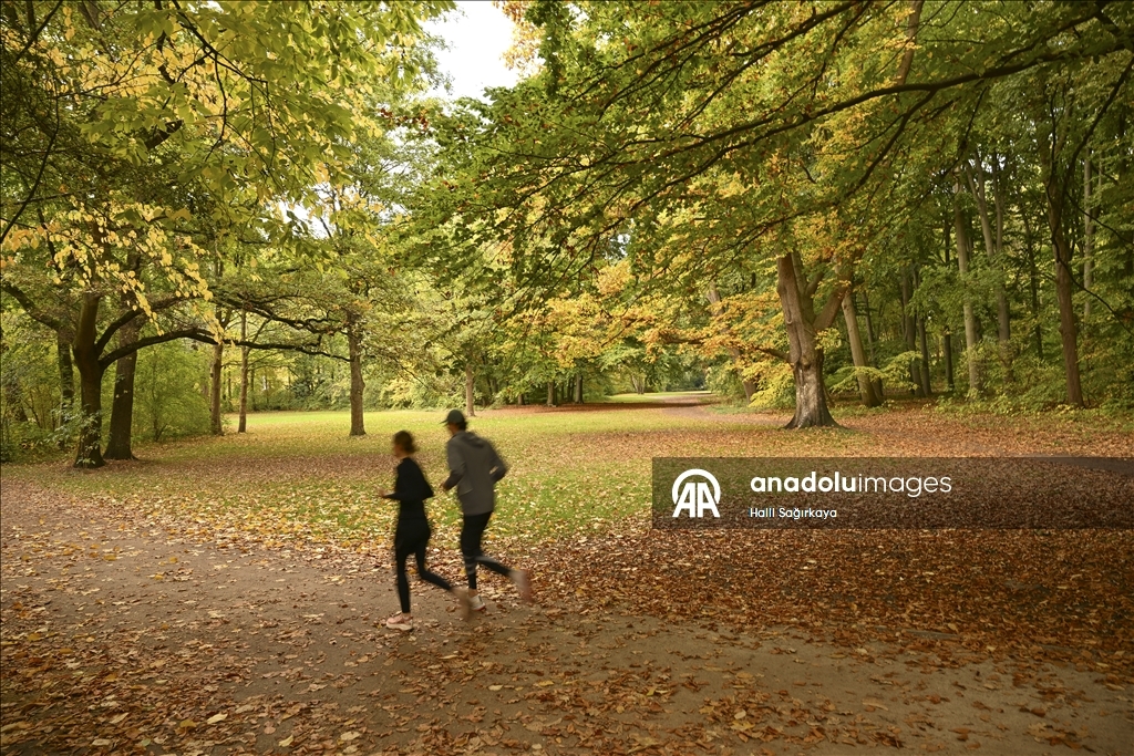 Autumn Colors in Berlin