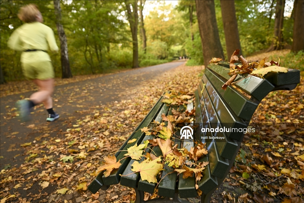 Autumn Colors in Berlin