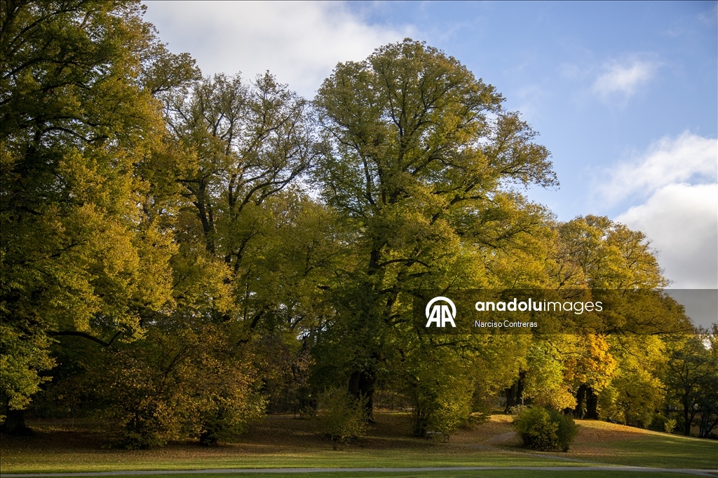 Stockholm draped in vibrant fall colors across parks and lakes