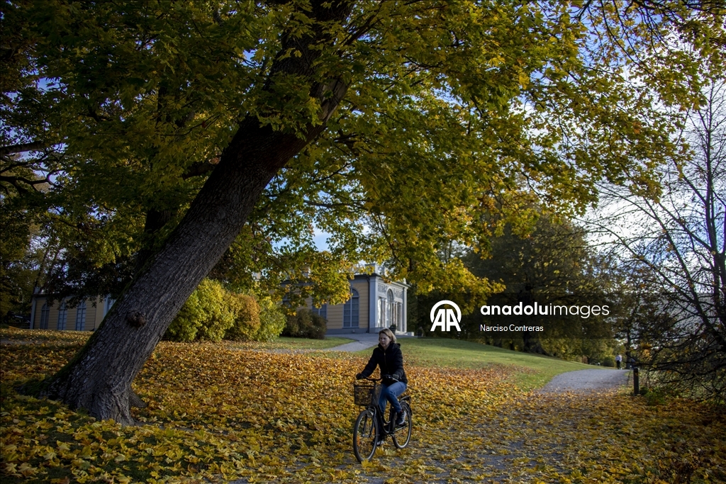 Stockholm draped in vibrant fall colors across parks and lakes