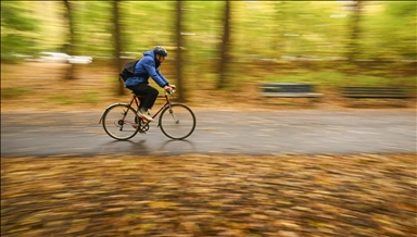 Autumn Colors in Berlin