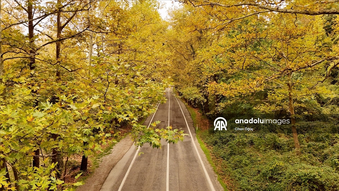 "Orman denizi" Karabük'te sonbaharın renkleri havadan görüntülendi