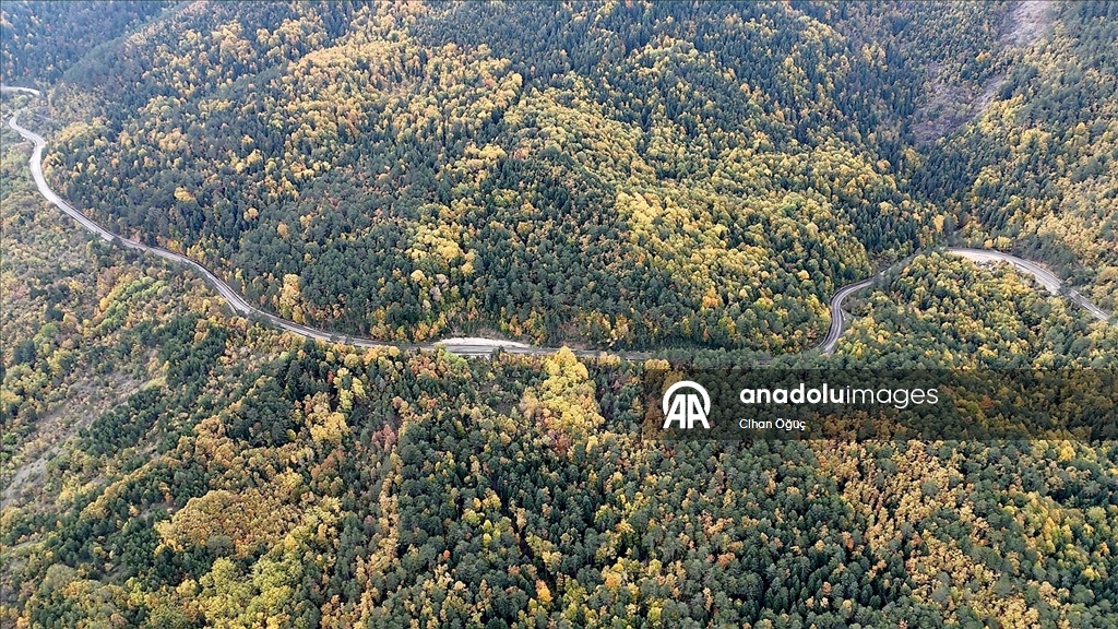 "Orman denizi" Karabük'te sonbaharın renkleri havadan görüntülendi