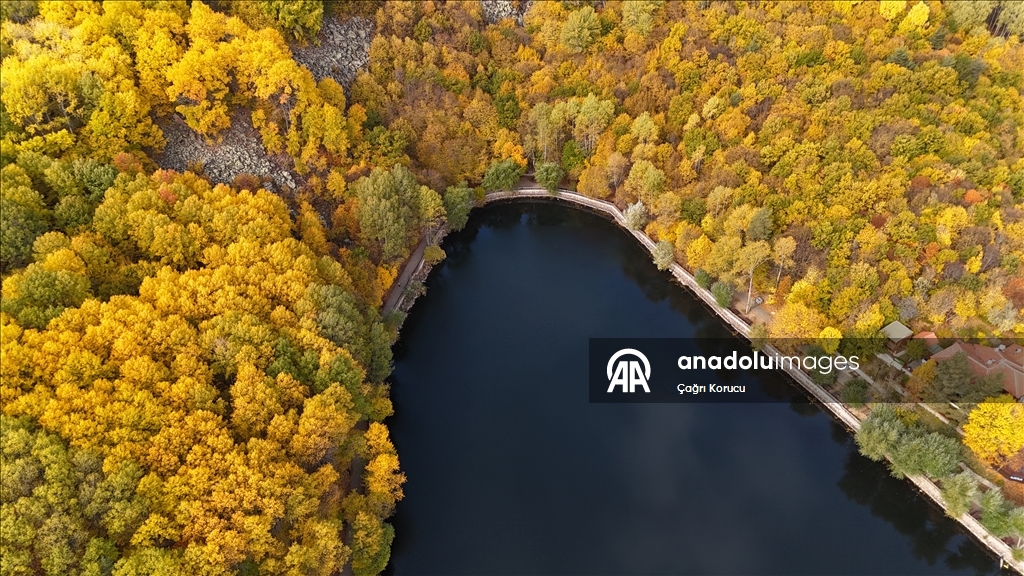Autumn in Ankara