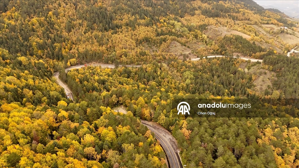 "Orman denizi" Karabük'te sonbaharın renkleri havadan görüntülendi