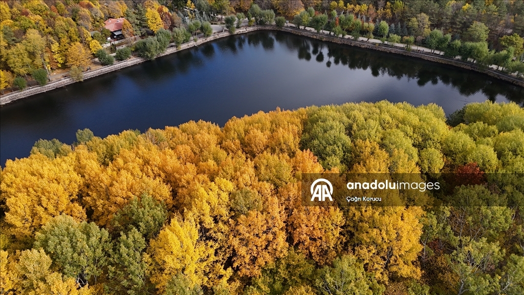 Autumn in Ankara