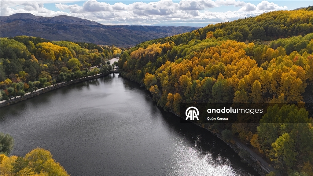 Autumn in Ankara