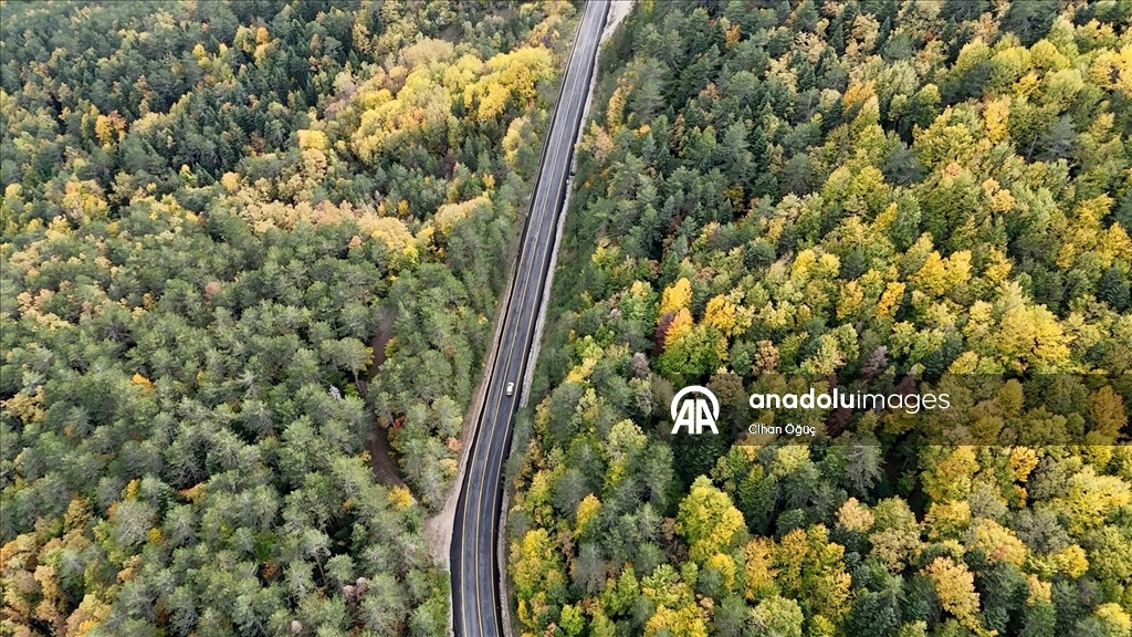 "Orman denizi" Karabük'te sonbaharın renkleri havadan görüntülendi
