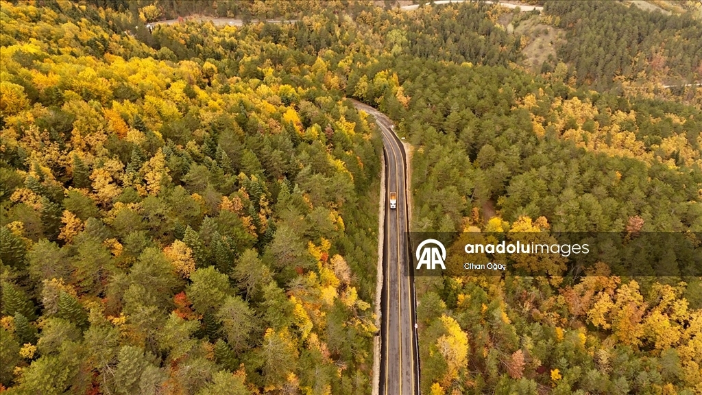 "Orman denizi" Karabük'te sonbaharın renkleri havadan görüntülendi