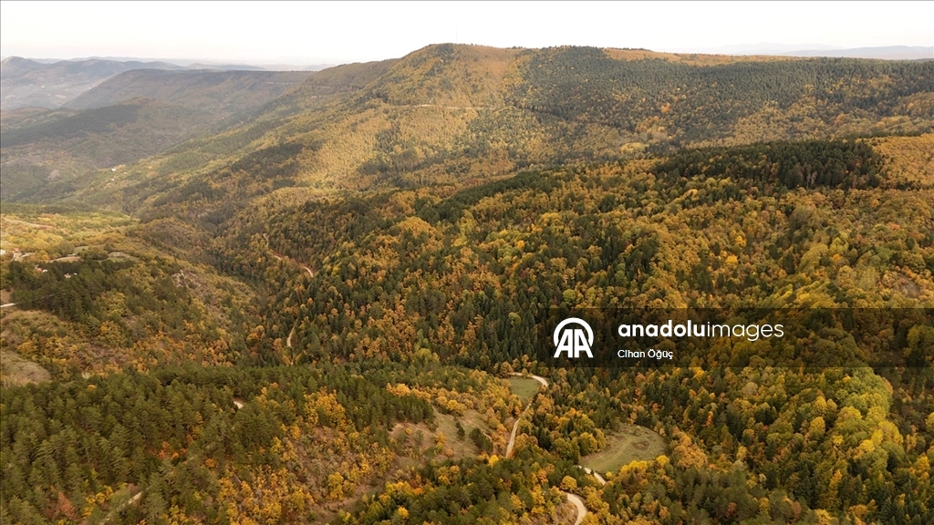 "Orman denizi" Karabük'te sonbaharın renkleri havadan görüntülendi