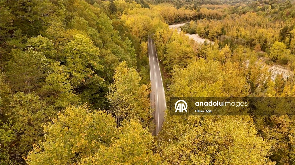 "Orman denizi" Karabük'te sonbaharın renkleri havadan görüntülendi