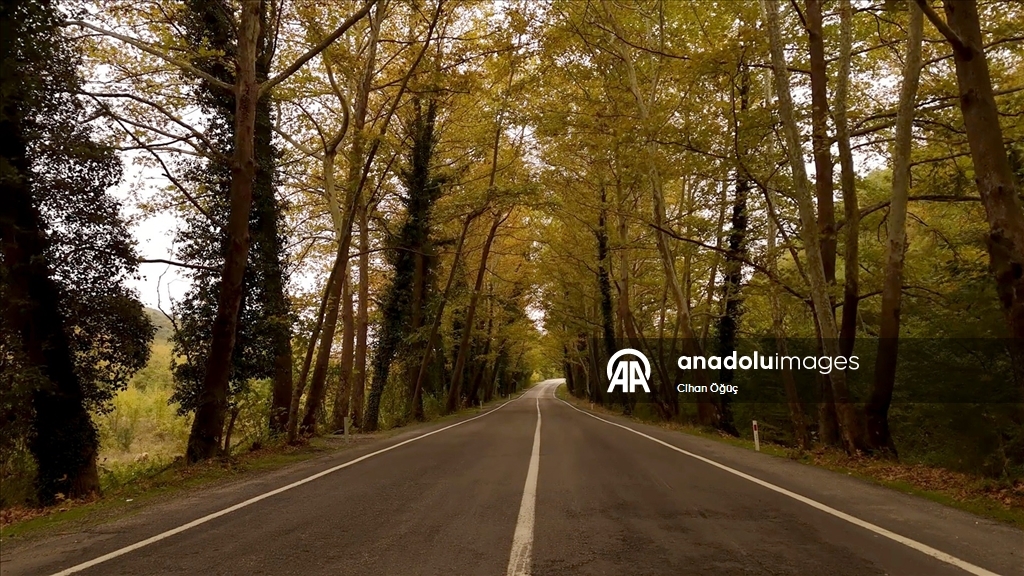 "Orman denizi" Karabük'te sonbaharın renkleri havadan görüntülendi