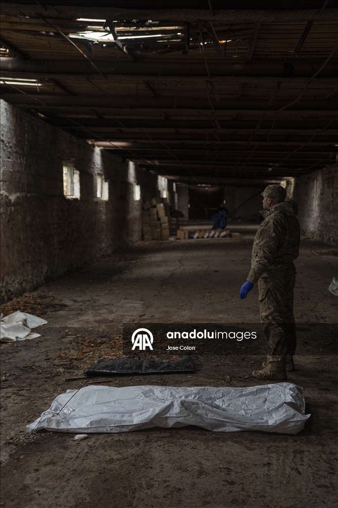 Добровольцы «Plastdarm» помогают установить личности погибших российских военных под Славянском