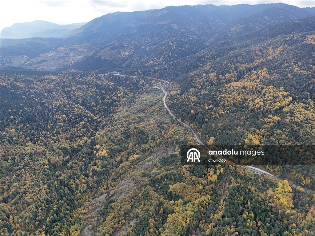"Orman denizi" Karabük'te sonbaharın renkleri havadan görüntülendi