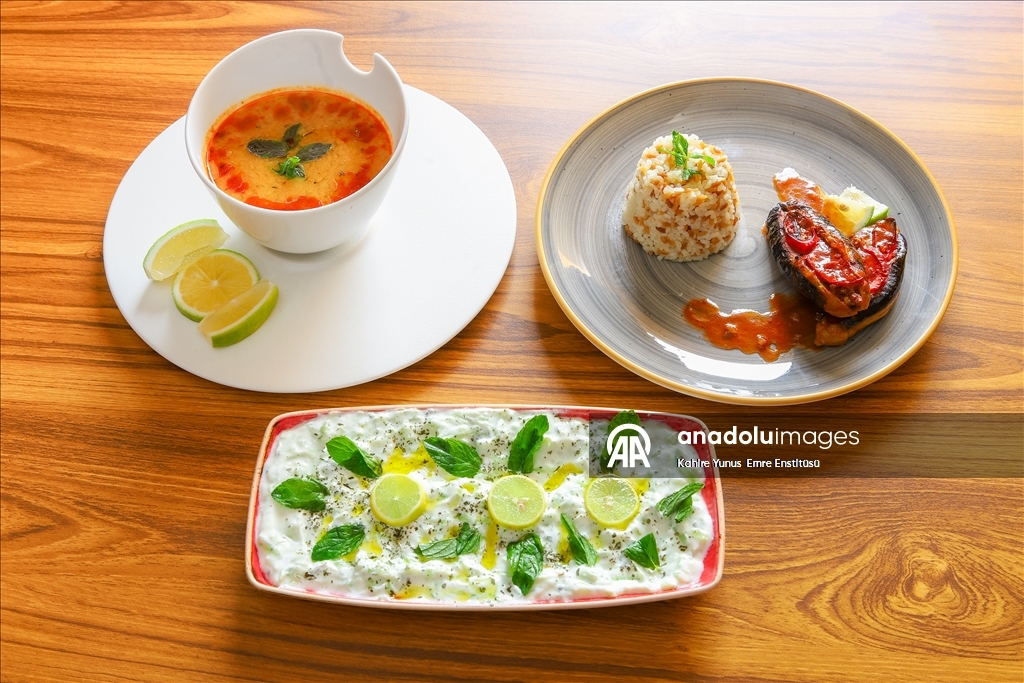 القاهرة.. معهد يونس أمرة ينظم أمسية "تذوق المأكولات التركية"