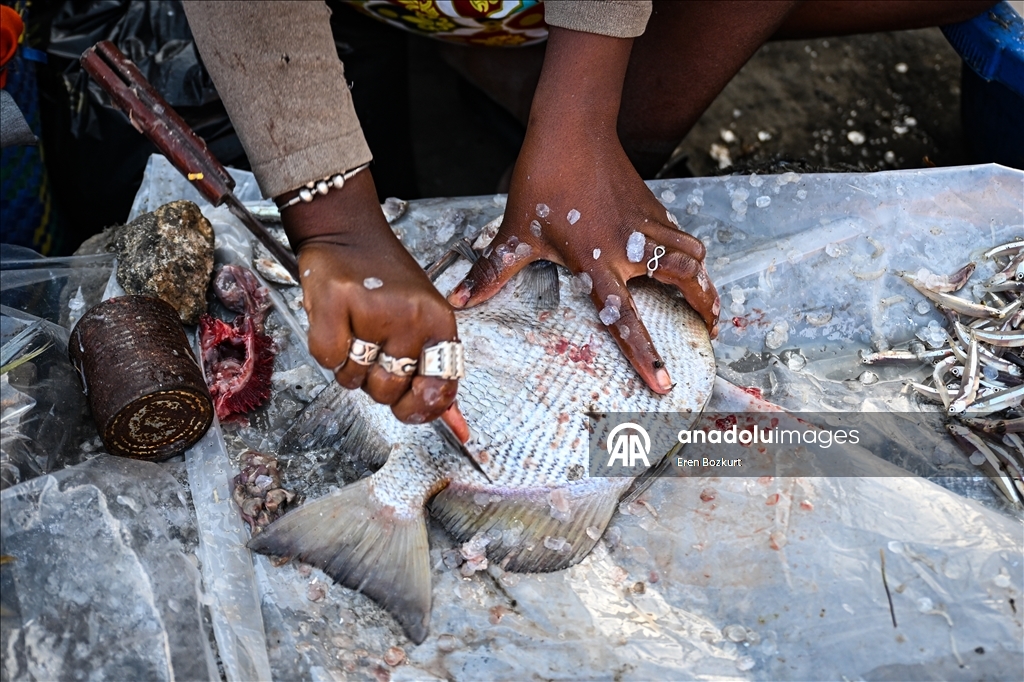 Madagaskar'ın balıkçı şehri: Toliara