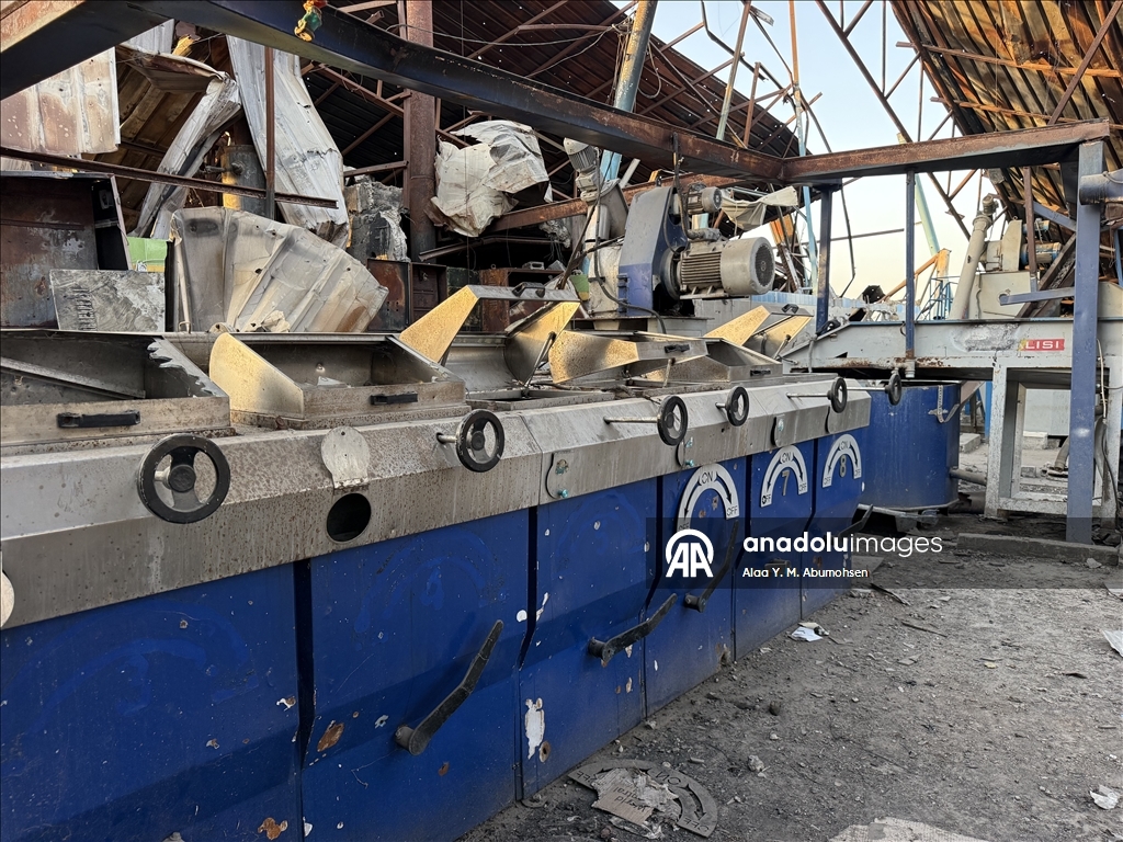 Израильская агрессия разрушила производство оливкового масла в Газе