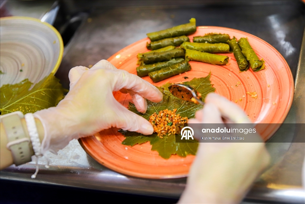 القاهرة.. معهد يونس أمرة ينظم أمسية "تذوق المأكولات التركية"