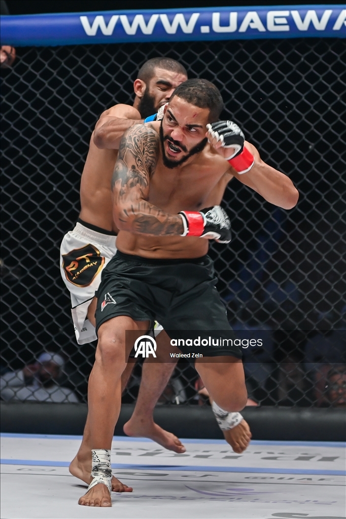 В Абу-Даби прошел турнир по смешанным единоборствам UAE Warriors 64
