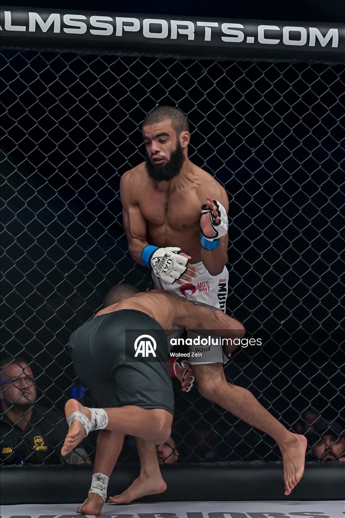 В Абу-Даби прошел турнир по смешанным единоборствам UAE Warriors 64