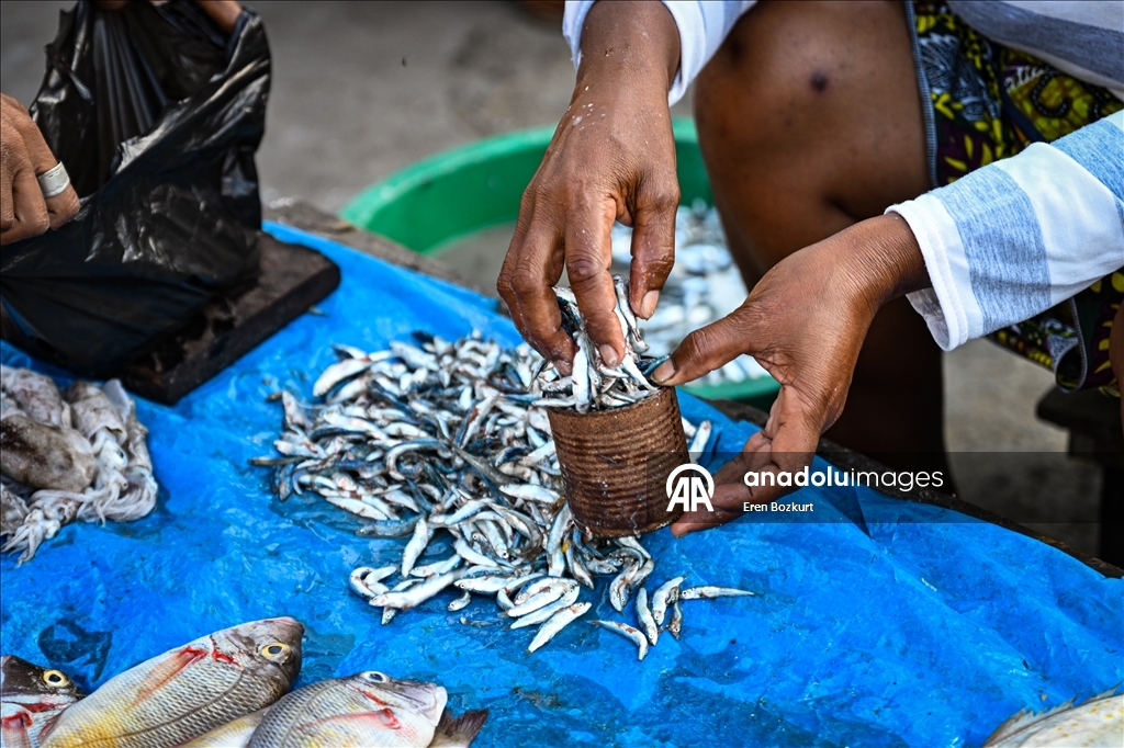 Madagaskar'ın balıkçı şehri: Toliara