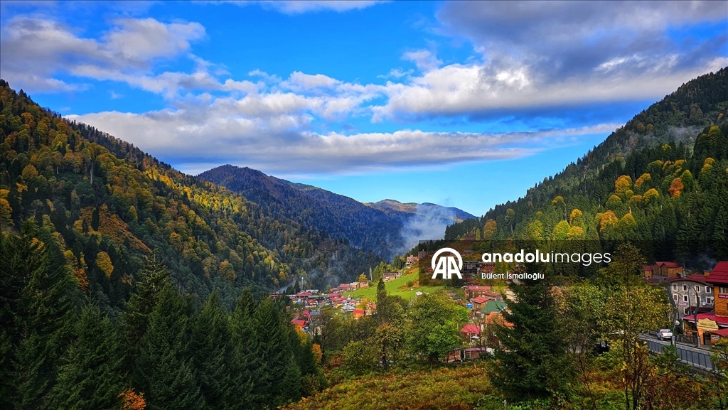 Rize'de Ayder Yaylası'nda sonbahar renkleri hakim oldu