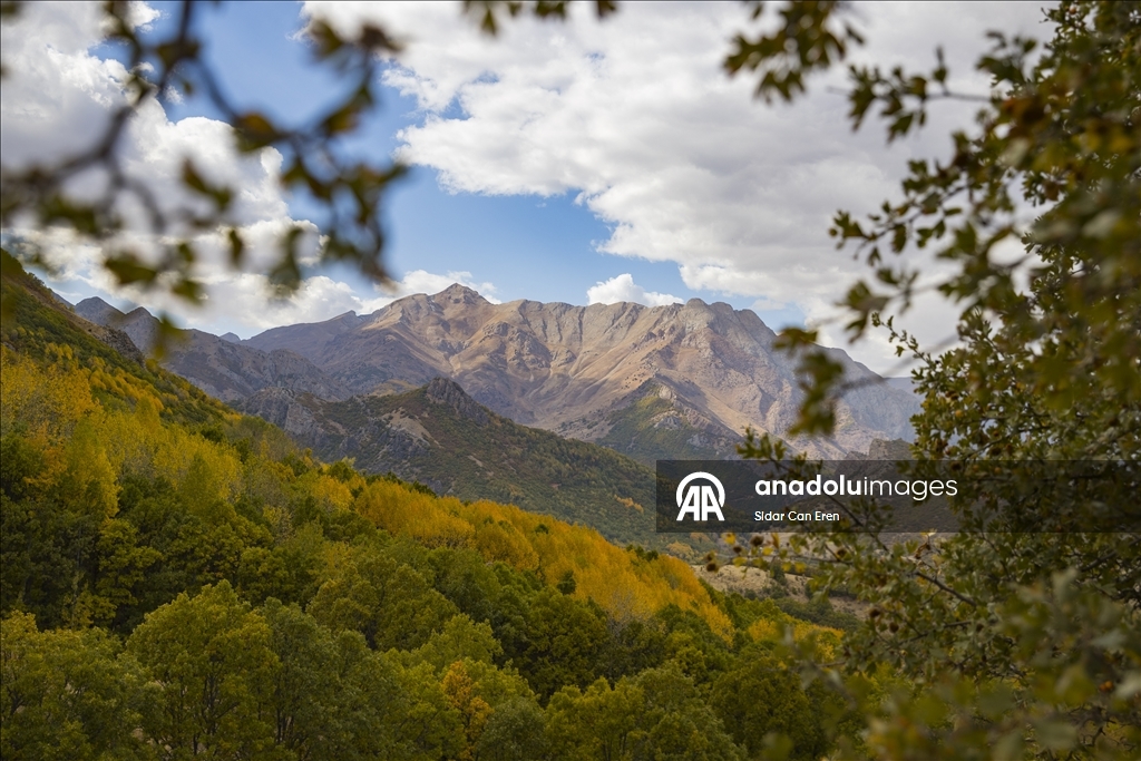 Tunceli'nin zirvelerindeki ormanlar güz renklerine büründü