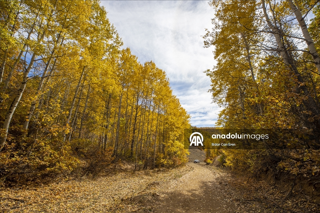 Tunceli'nin zirvelerindeki ormanlar güz renklerine büründü