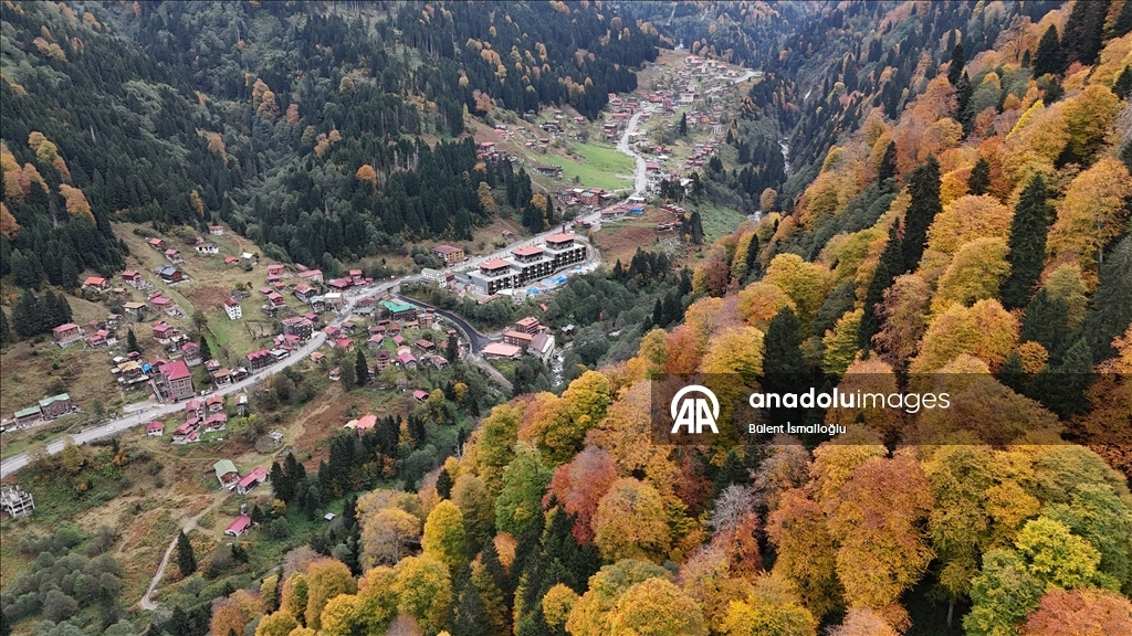 Rize'de Ayder Yaylası'nda sonbahar renkleri hakim oldu
