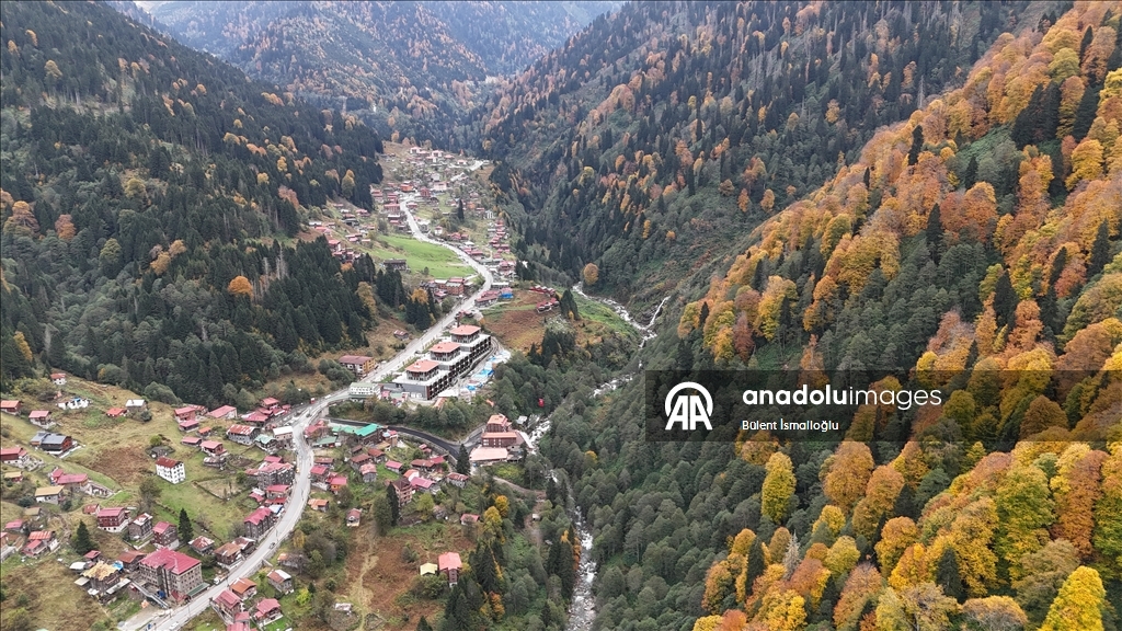 Rize'de Ayder Yaylası'nda sonbahar renkleri hakim oldu