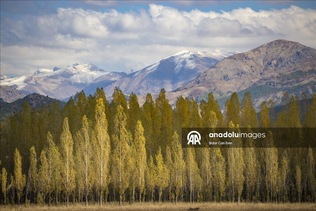 Tunceli'nin zirvelerindeki ormanlar güz renklerine büründü