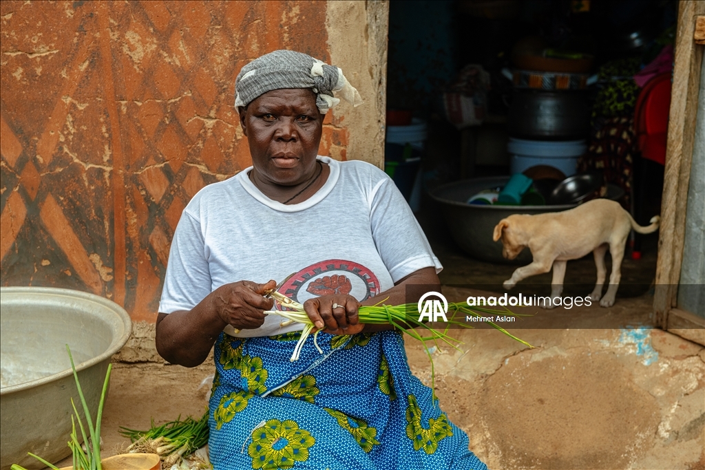 تيبلي.. قرية بوركينية خطت هويتها على جدران الطين