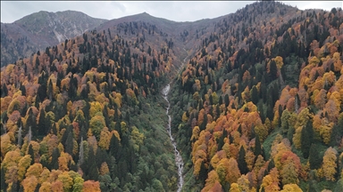 Rize'de Ayder Yaylası'nda sonbahar renkleri hakim oldu