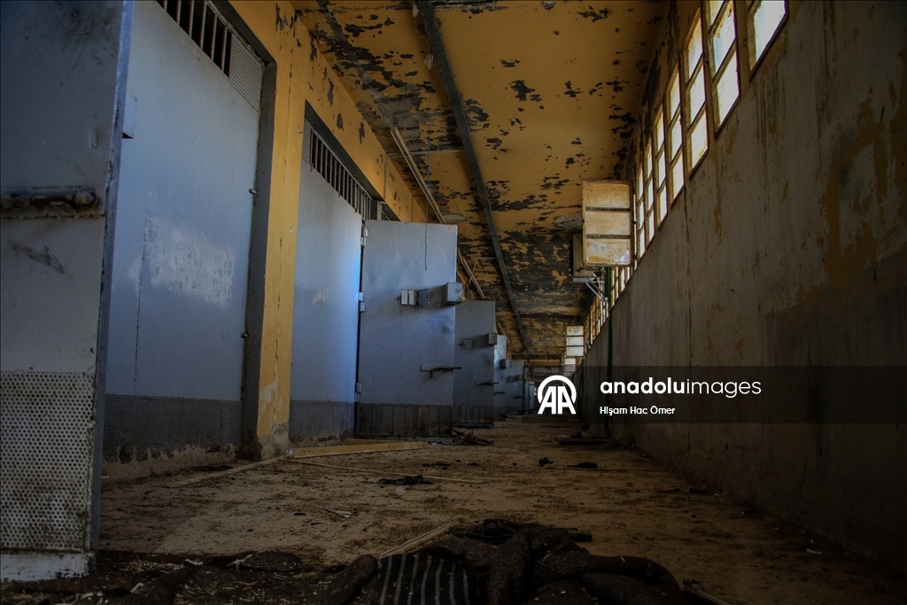 Sednaya prison, the torture center of Syria's collapsing regime