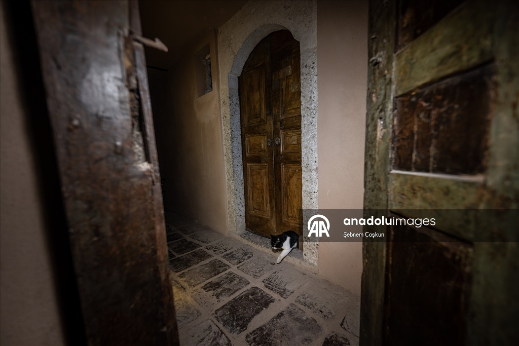 Topkapı Sarayı'nın kedi kapısı, Mülayim'in torunu "Şerbet"le yeniden hayat buldu