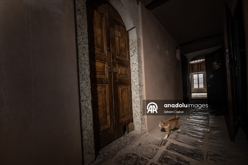 Topkapı Sarayı'nın kedi kapısı, Mülayim'in torunu "Şerbet"le yeniden hayat buldu