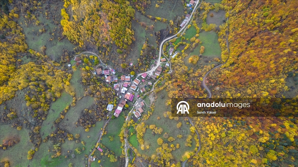 Ilgaz Dağı'nda sonbahar tüm renkleriyle yaşanıyor