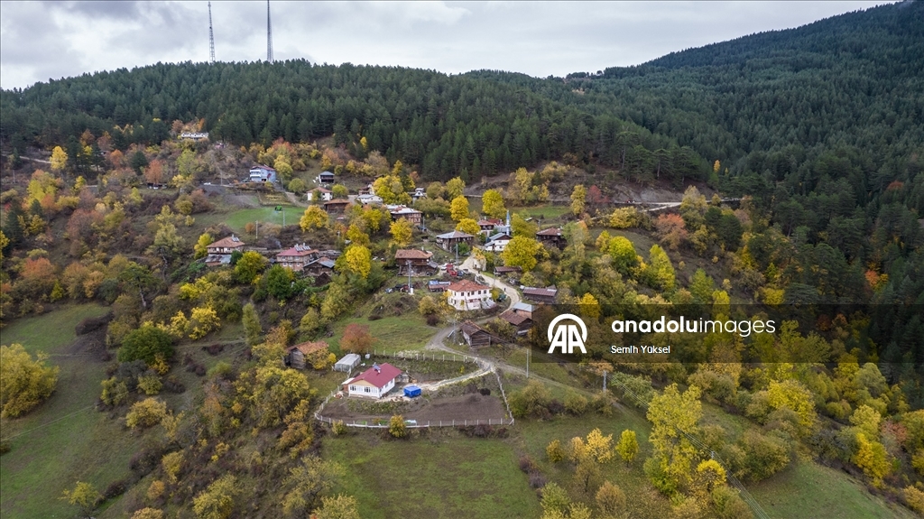 Ilgaz Dağı'nda sonbahar tüm renkleriyle yaşanıyor