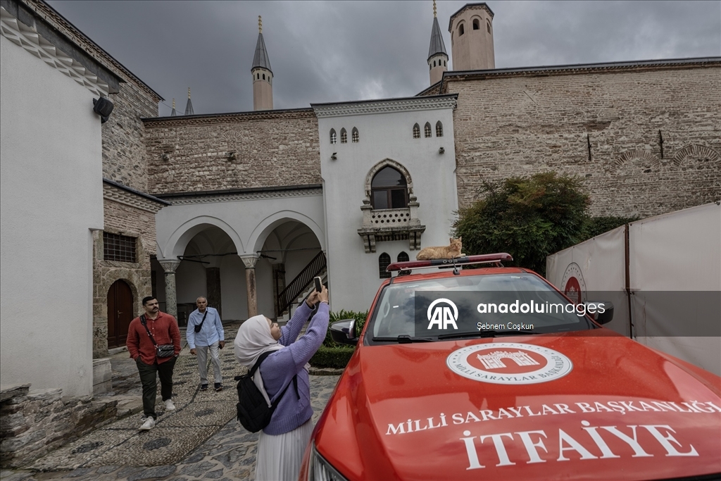 Topkapı Sarayı'nın kedi kapısı, Mülayim'in torunu "Şerbet"le yeniden hayat buldu