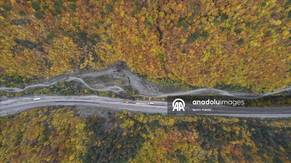 Ilgaz Dağı'nda sonbahar tüm renkleriyle yaşanıyor