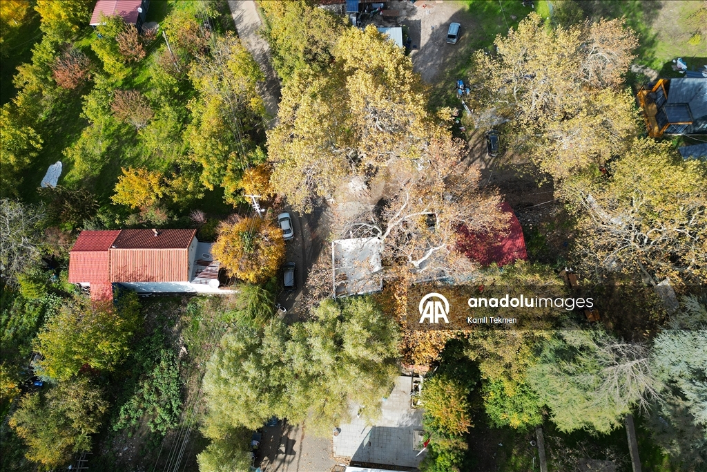 İzmir'deki Ovacık Yaylası, sonbahar renklerine büründü