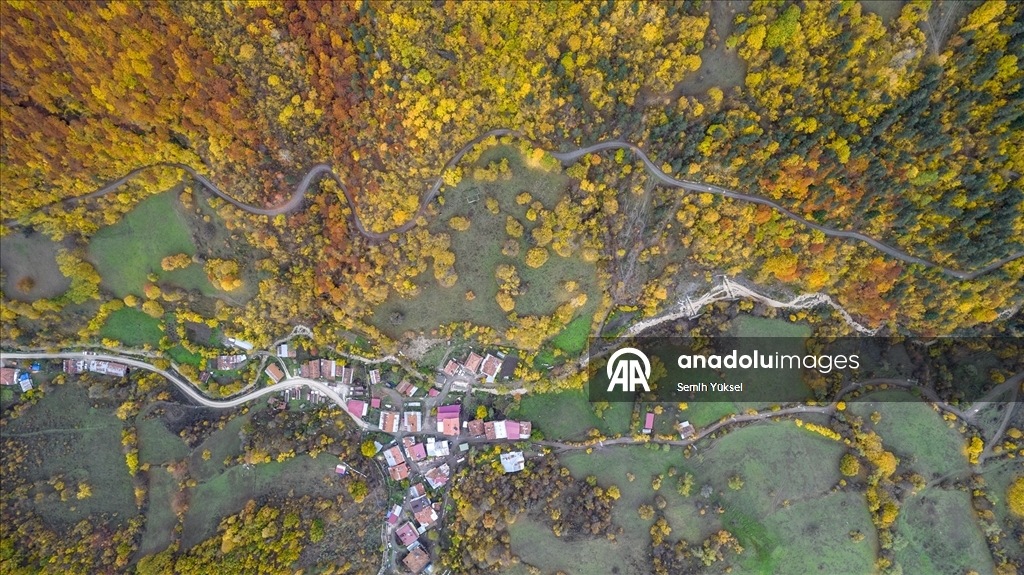 Ilgaz Dağı'nda sonbahar tüm renkleriyle yaşanıyor