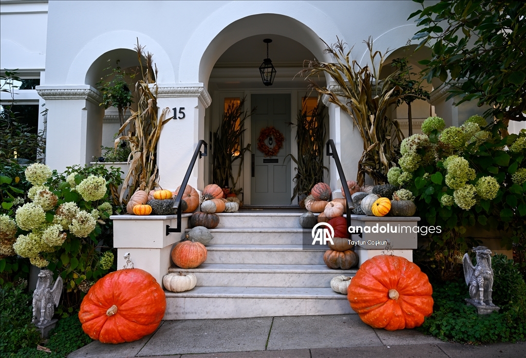 Decorated Halloween houses in San Francisco's Presidio Terrace