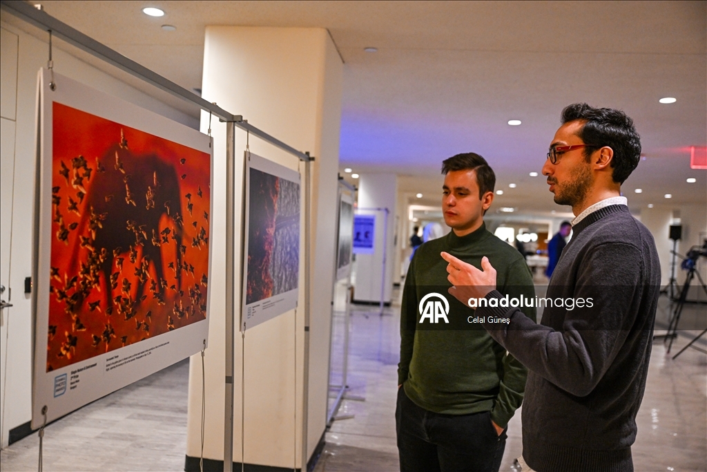 الأناضول تفتتح معرض "جوائز إسطنبول للصور" في مقر الأمم المتحدة
