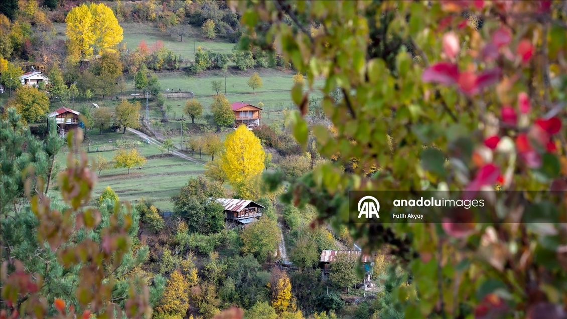 Karadeniz yaylalarında sonbahar renkleri hakim oldu