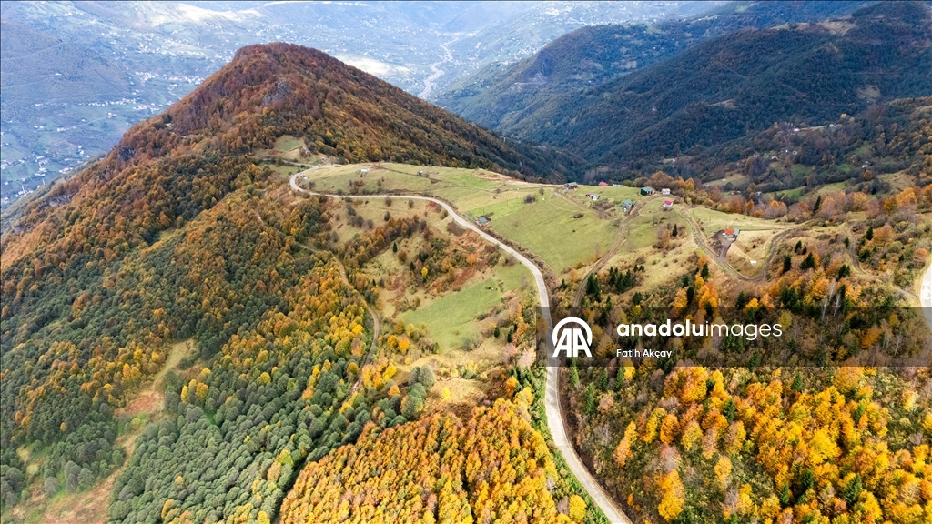 Karadeniz yaylalarında sonbahar renkleri hakim oldu