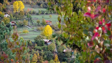 Karadeniz yaylalarında sonbahar renkleri hakim oldu