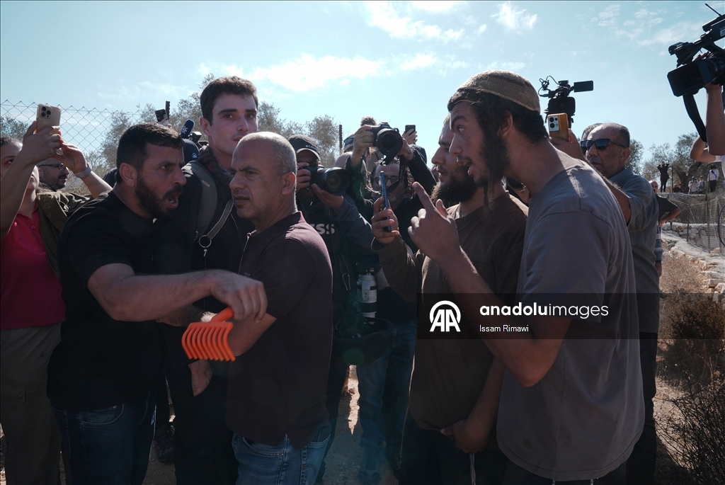 Filistin topraklarını gasbeden İsraillilerin Batı Şeria'da zeytin hasadı yapan çiftçilere yönelik saldırıları